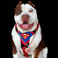 Load image into Gallery viewer, Superdog Harness
