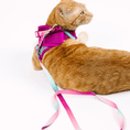 Load image into Gallery viewer, Joana Cat Harness & Leash Set
