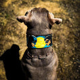 Load image into Gallery viewer, The BCW Limited Collar
