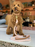 Load image into Gallery viewer, LEASH - BELLA ROSE
