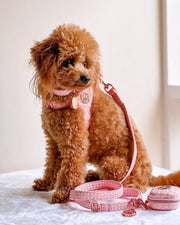 Novalie Kiss-  Waste Bag/Treat Bag