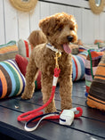 Load image into Gallery viewer, LEASH - HOT MARINE
