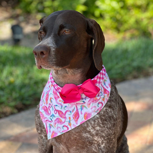 Tropical Flamingo Bandana Dog Collar With Bow - Southlake Paws