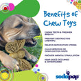 Load image into Gallery viewer, Butterfly Nylon Chew & Enrichment Toy | 2-in-1 for Aggressive Chewers | SodaPup
