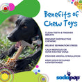 Load image into Gallery viewer, Southlake Paws Honey Bone Dental Flower Tower XL chew toy for dogs, featuring a durable design for cleaning teeth and freshen
