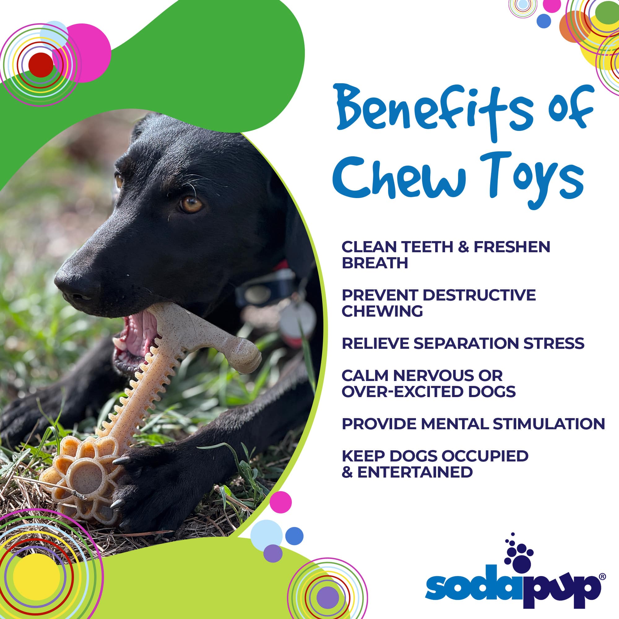 Southlake Paws Honey Bone Dental Flower Tower XL chew toy for dogs, featuring a durable design for cleaning teeth and freshen