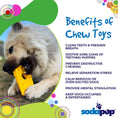 Load image into Gallery viewer, Swiss Cheese Wedge Nylon Dog Chew Toy for Aggressive Chewers | SodaPup
