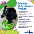 Load image into Gallery viewer, Garden Design eTray - Shallow Slow Feeder Dog Bowl for Enrichment | USA
