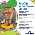 Load image into Gallery viewer, Sunflower eTray Shallow Slow Feeder Dog Bowl for Enrichment | USA Made
