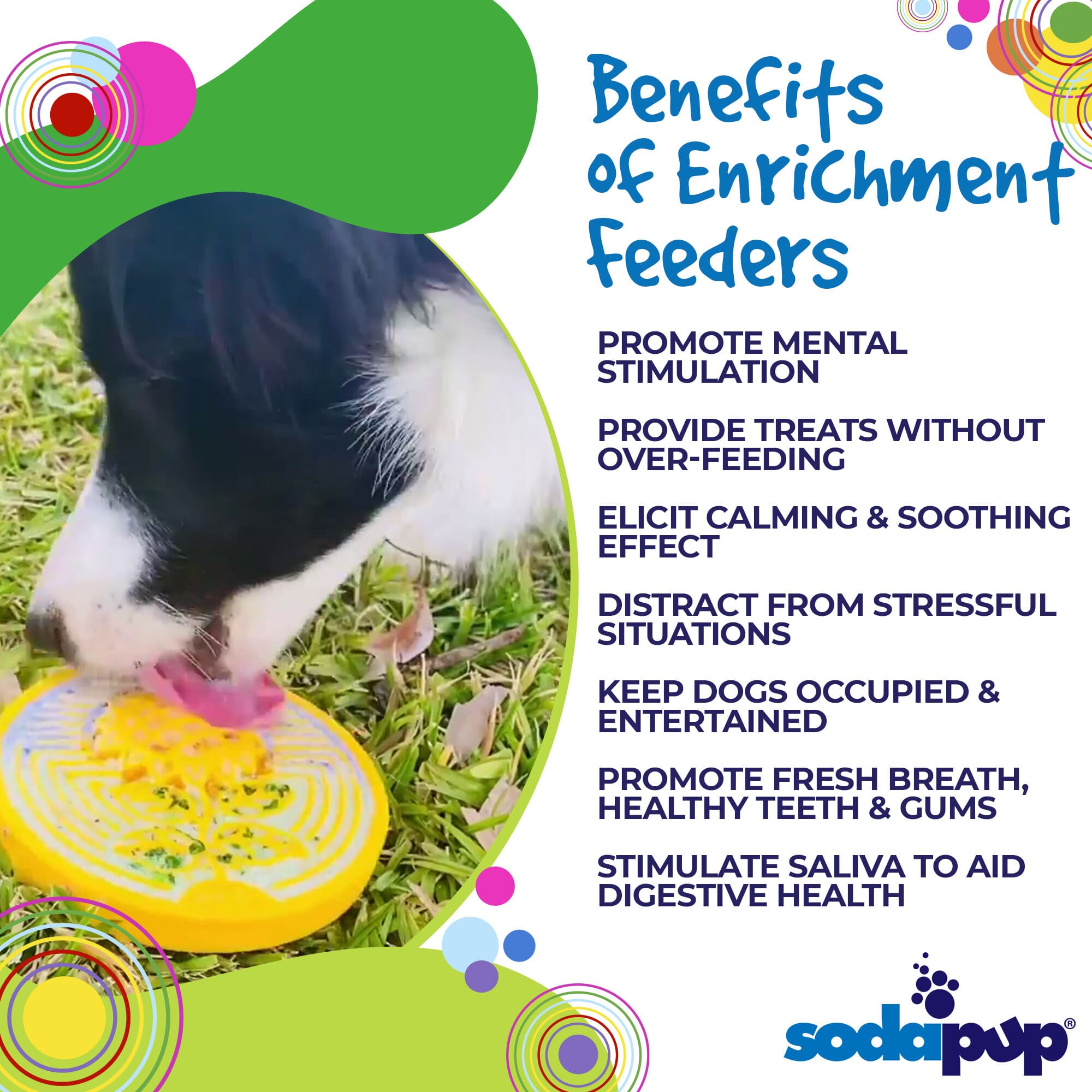 Earth eCoin Nylon Lick Mat for Dogs by Southlake Paws, featuring a dog enjoying treats on a colorful mat outdoors.