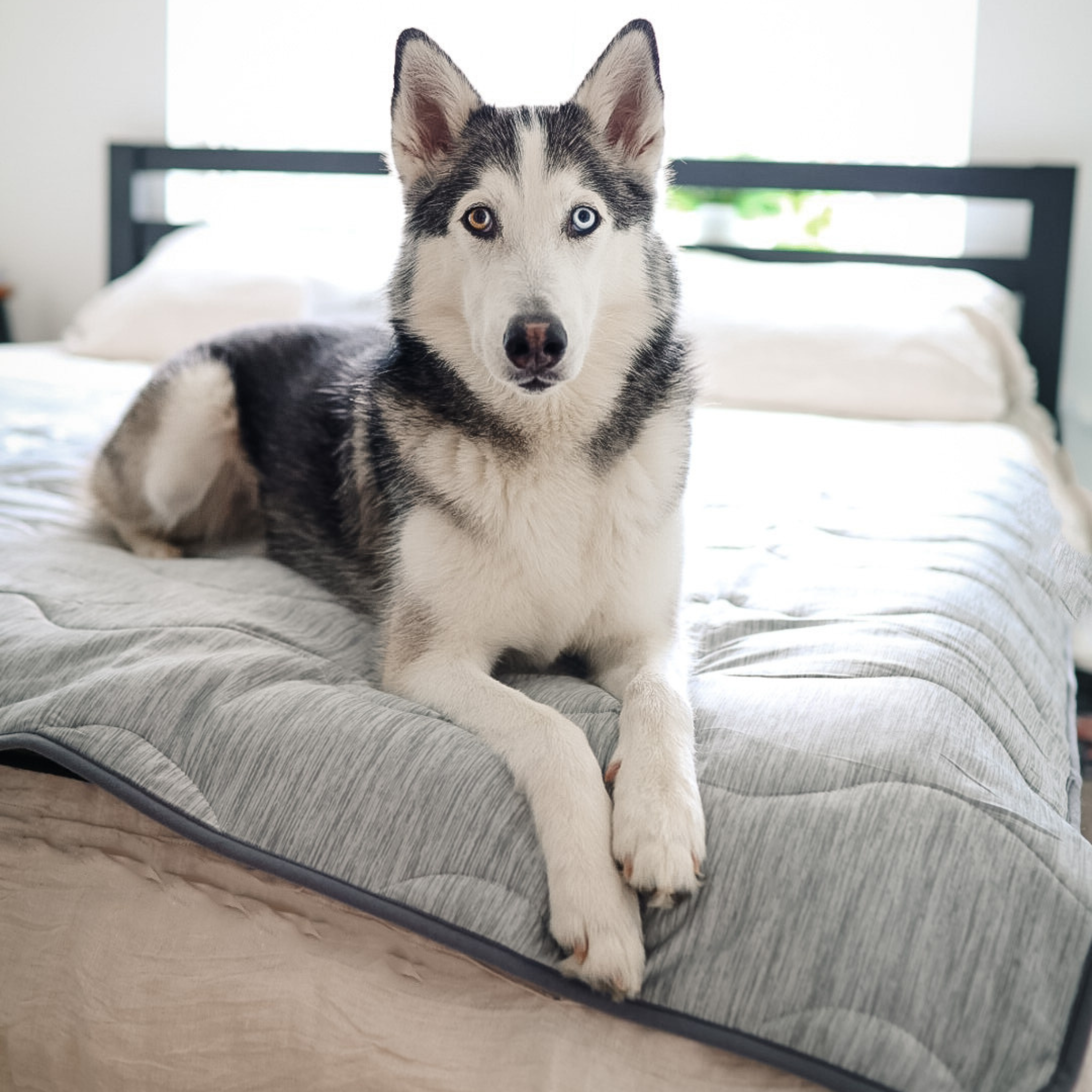 PupChill™ Cooling Waterproof Blanket - Arctic Grey 