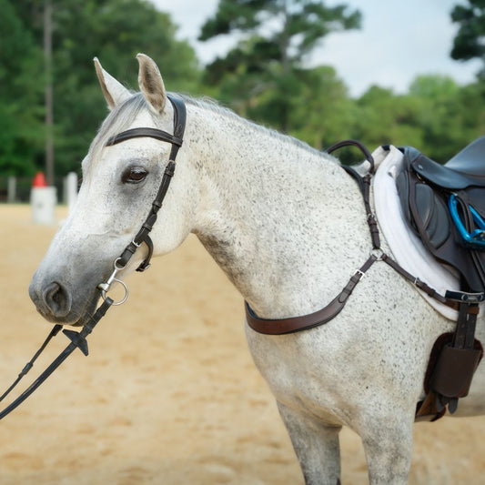 Southlake Paws Free Motion Breastplate with Double Neck Strap on a gray horse, set in an outdoor riding arena.