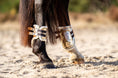 Load image into Gallery viewer, Aurum Open Front Boots by Southlake Paws on a horse's legs, featuring a sleek design with straps and protective padding.
