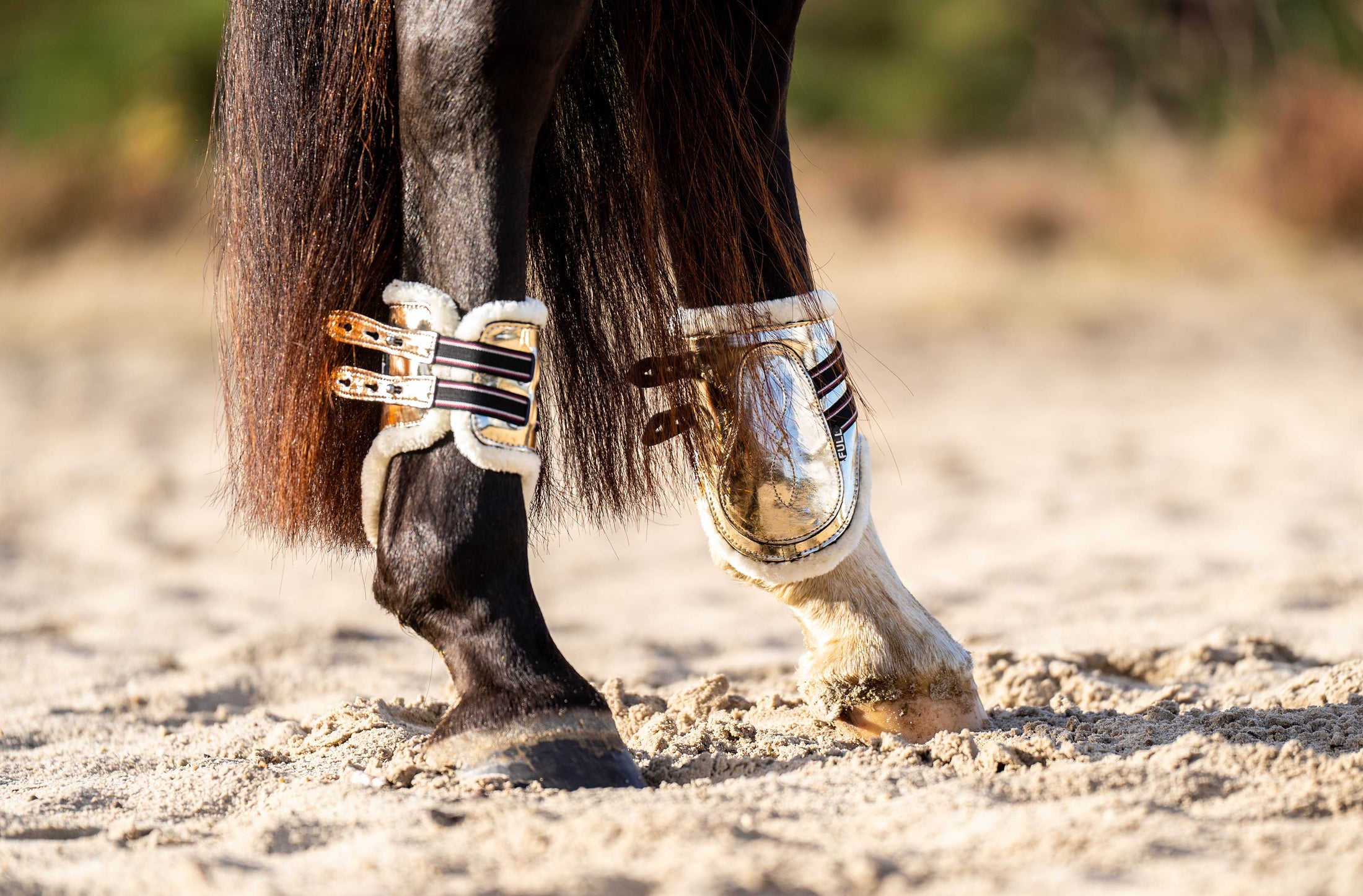 Aurum Open Front Boots by Southlake Paws on a horse's legs, featuring a sleek design with straps and protective padding.