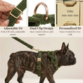Load image into Gallery viewer, Cozy Olive Teddy Set
