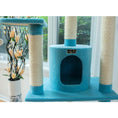 Load image into Gallery viewer, Armarkat Classic Cat Condo B6605 - 65-Inch - Sky/Blue
