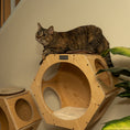 Load image into Gallery viewer, Armarkat Real Wood Wall Cat Tree
