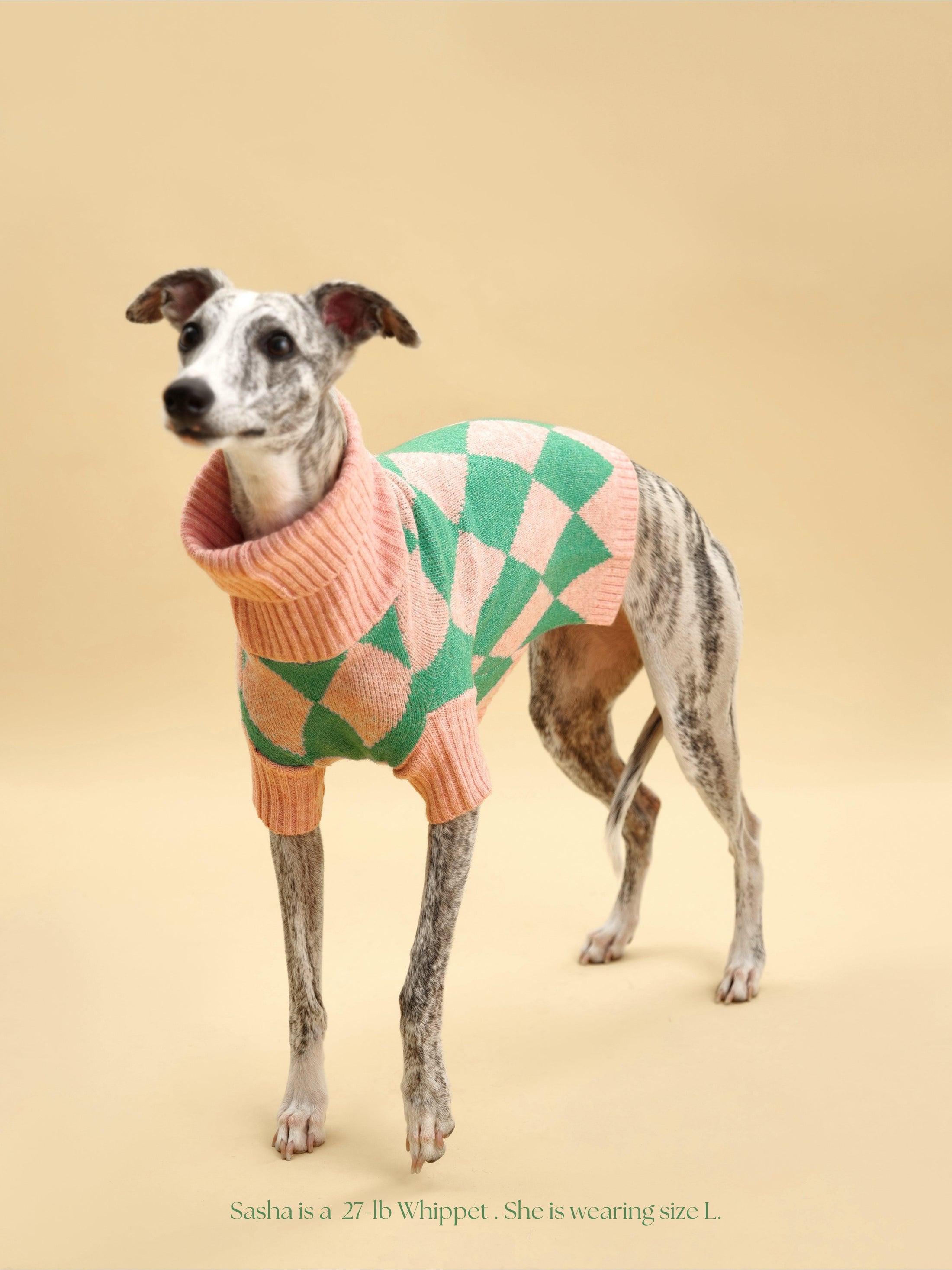 Sunday Brunch in Brooklyn Sweater 