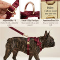 Load image into Gallery viewer, Red Wine Velvet Set
