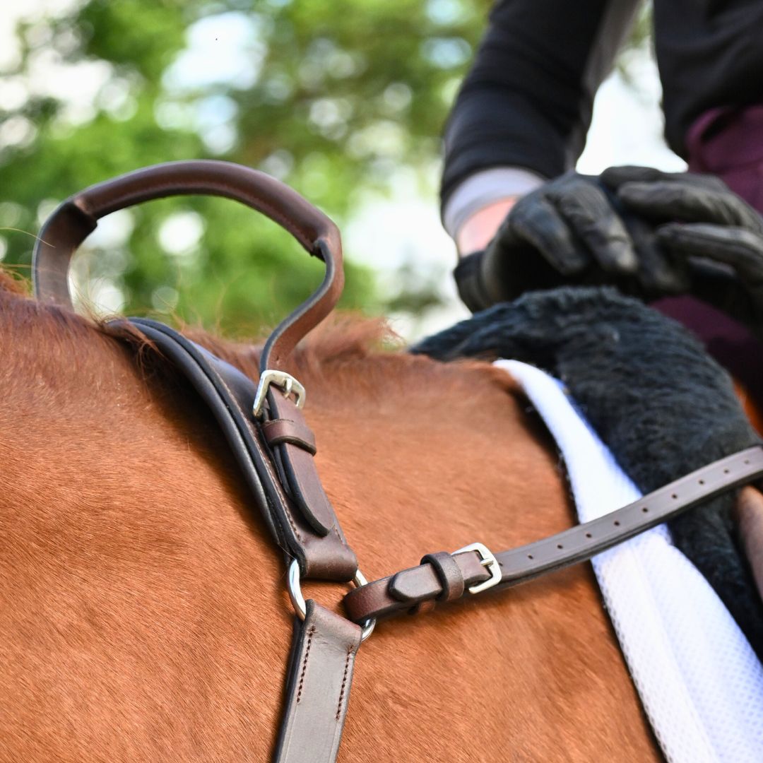 Southlake Paws 3-Point Breastplate with Double Neck Strap, brown leather attachment on a horse's saddle.