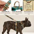 Load image into Gallery viewer, Autumn Blue Plaid Set
