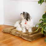 Armarkat M01CHL-M Medium  Pet Bed Mat  Dog Crate Soft Pad  With Poly Fill Cushion Sage Green