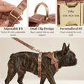 Load image into Gallery viewer, Dusty Pink Velvet Set

