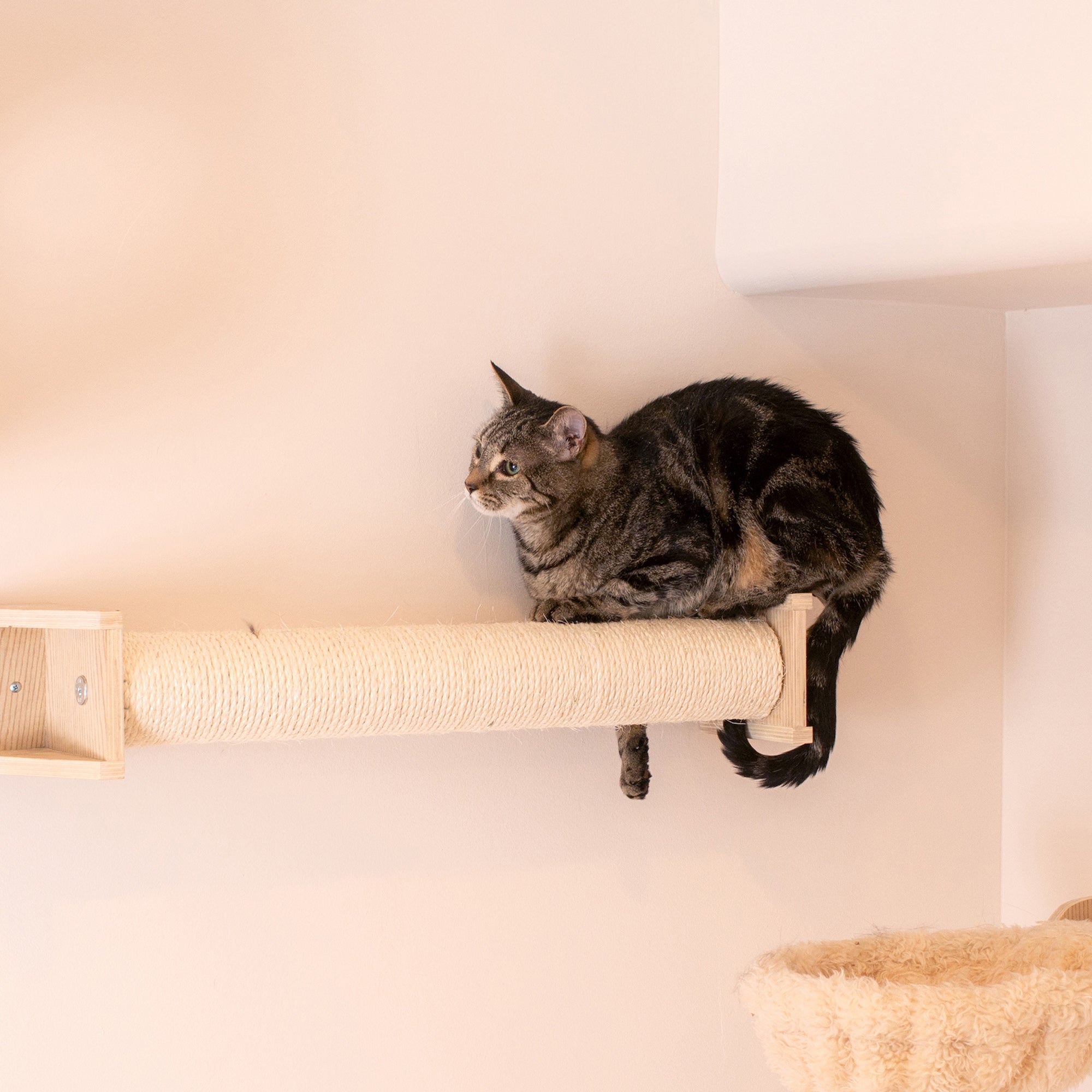 Armarkat Wall Series Cat Scratching Post W1907D - Beige