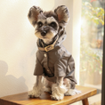 Load image into Gallery viewer, BOWERY RAINCOAT - GRAY
