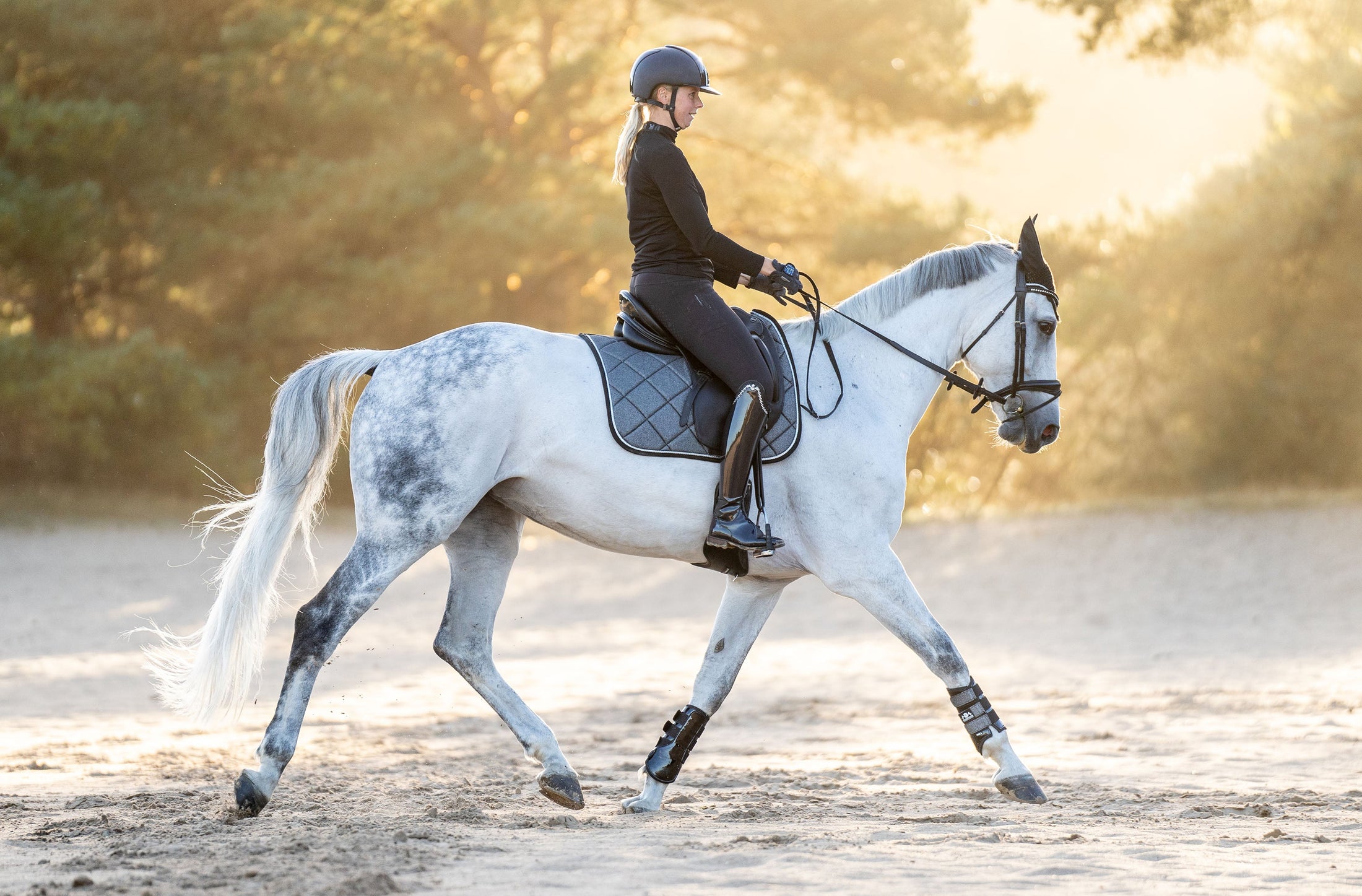 Southlake Paws Stardust Grey Saddle Pad on a grey horse, rider in black attire, trotting in a sunlit outdoor setting.