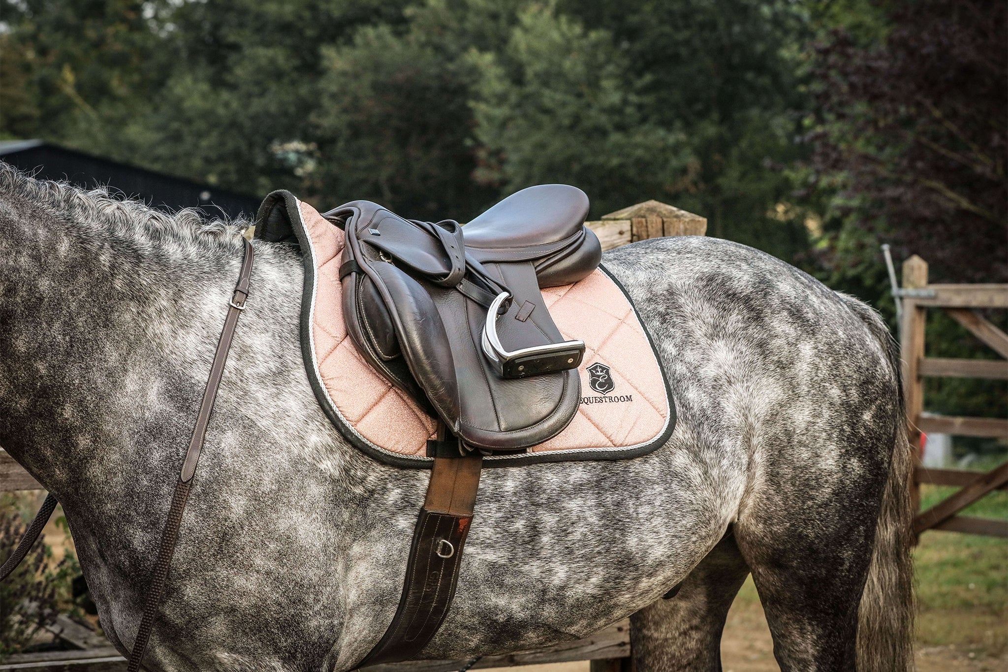 Rose Quartz Saddle Pad by Southlake Paws, featuring a soft pink quilted design on a gray horse with a brown saddle.