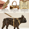 Load image into Gallery viewer, Velvet Leopard Set
