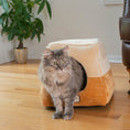 Load image into Gallery viewer, Armarkat Cat Bed - Brown/Beige

