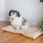 Armarkat M01CMH-M Medium  Pet Bed Mat  Dog Crate Soft Pad  With Poly Fill Cushion Beige