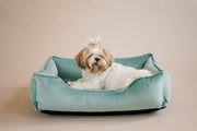 Velvet Dog Bed Dreamer