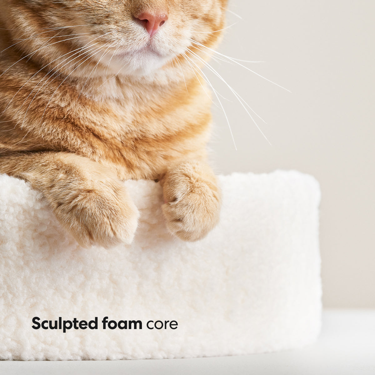 Kip Cat Cushion - Southlake Paws