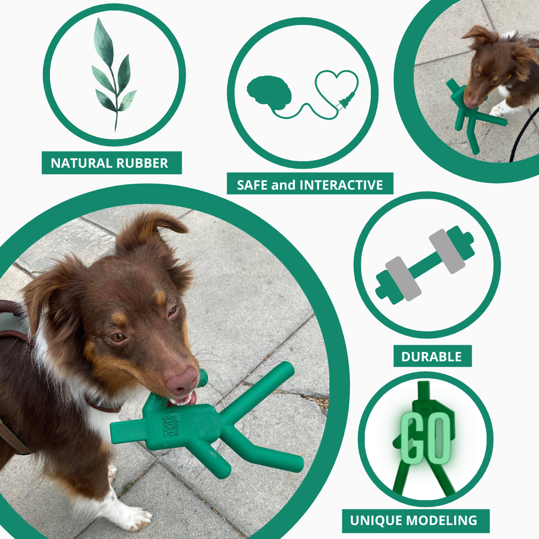 Dog Chew Toy - Southlake Paws