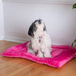 Armarkat M01CZH-M Medium Pet Bed Mat  Dog Crate Soft Pad With Poly Fill Cushion Vibrant PInk