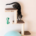 Load image into Gallery viewer, Armarkat Wall Series Cat Furniture W1907C - Beige
