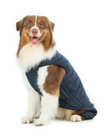 Load image into Gallery viewer, Reversible Dog Vest Jacket - Blue
