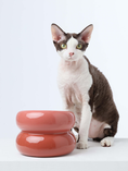 Load image into Gallery viewer, Soufflé Pet Bowl - Rose Pink
