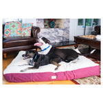 Armarkat M02HJH/MB-XXL Double Extra Large Pet Bed Mat With Poly Fill Cushion And Removable Cover In Ivory & Burgundy