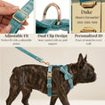 Load image into Gallery viewer, Turquoise Stone Velvet Set
