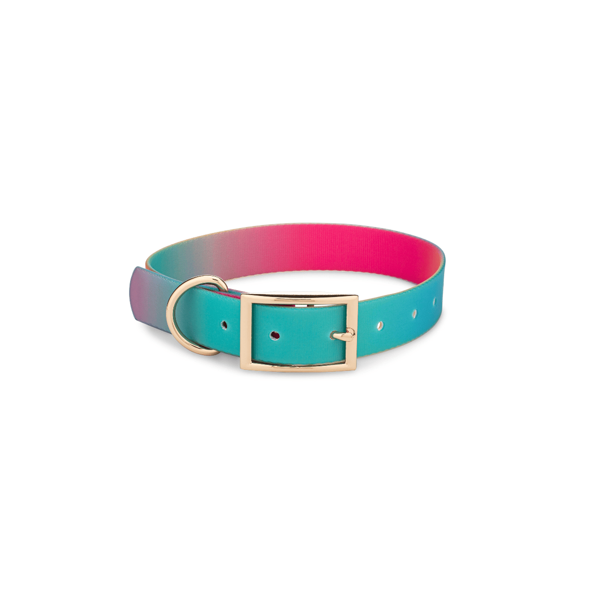 Pippa Dog Collar