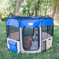 Load image into Gallery viewer, Armarkat Pet Furniture PP001B-XL - Blue/Beige - X-Large
