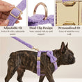 Load image into Gallery viewer, Teddy Purple Set
