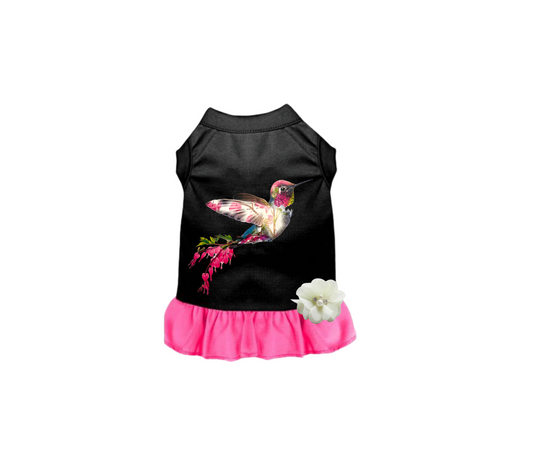Hummingbird Summer- Dog Dress - image 2