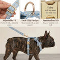 Load image into Gallery viewer, Blue Plaid Set
