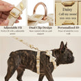 Load image into Gallery viewer, Ivory Gold Leaf Velvet Set
