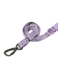 Load image into Gallery viewer, PADDED  ACTIVE  PET LEASH  - MINT PURPLE
